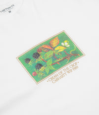 Carhartt Cream Of The Crop T-Shirt - White thumbnail
