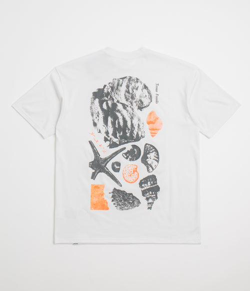 Nike ACG Fossils T-Shirt - Summit White