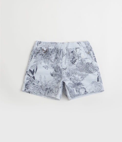 Nike ACG Reservoir Goat Shorts - Football Grey / Thunder Blue / Summit White