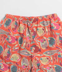 Patagonia Baggies 5" Shorts in Wrasse: Pollinator Orange thumbnail