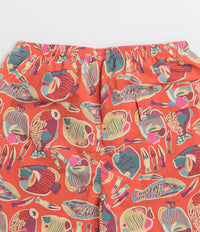 Patagonia Baggies 5" Shorts in Wrasse: Pollinator Orange thumbnail