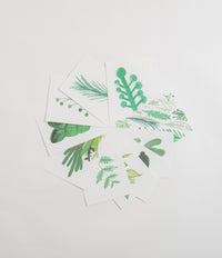 Studio Arhoj Botanica A5 Art Prints in Pack of 10 thumbnail