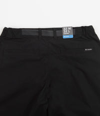 Columbia Wallowa Belted Pants in Black thumbnail