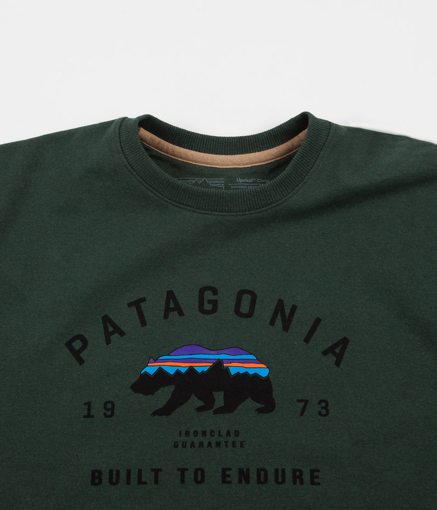 Patagonia fitz sales roy bear sweatshirt