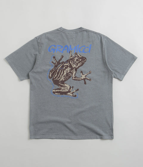 Gramicci Sticky Frog T-Shirt - Slate Pigment