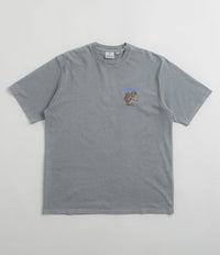 Gramicci Sticky Frog T-Shirt - Slate Pigment thumbnail