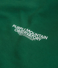 Purple Mountain Observatory Core Logo Hoodie - Eden thumbnail