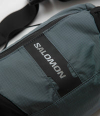 Salomon ACS 3 Waist Pack - Turbulence / Monument thumbnail