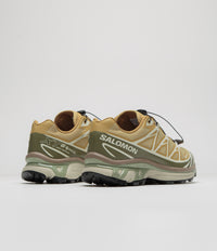 Salomon XT-6 GTX Shoes - Antelope / Icicle / Portabella thumbnail