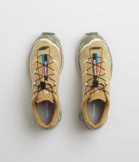 Salomon XT-6 GTX Shoes - Antelope / Icicle / Portabella thumbnail