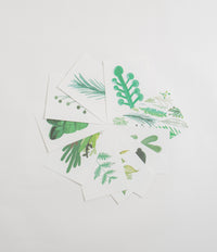Studio Arhoj Botanica A5 Art Prints - Pack of 10 thumbnail