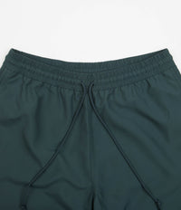 Carhartt Chase Swim Trunks - Botanic / Gold thumbnail