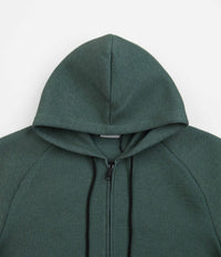 Carhartt Light-Lux Hooded Jacket in Botanic thumbnail
