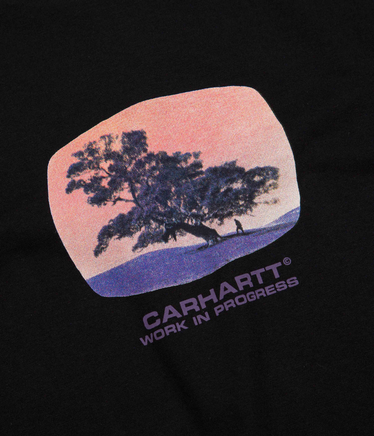Carhartt Seeds TShirt Black Always in Colour