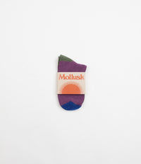 Mollusk Womens Color Block Socks - Huckleberry thumbnail