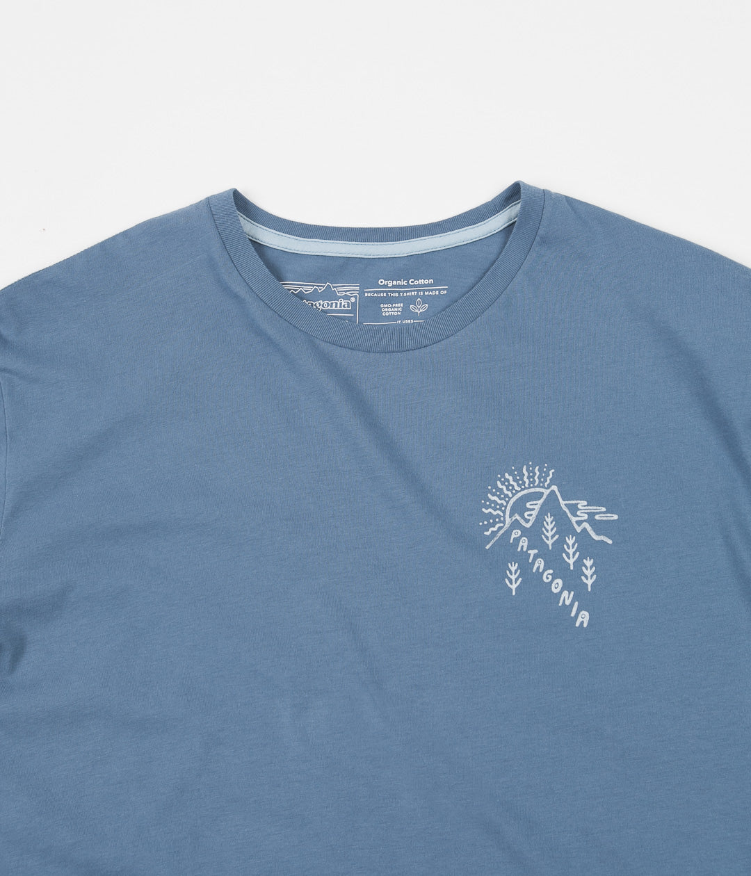 Patagonia How to Help Organic T Shirt Pigeon Blue Always in Colour