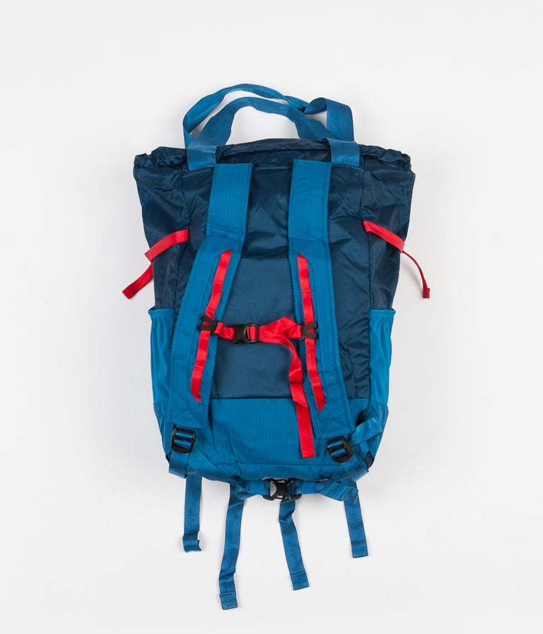 Patagonia Lightweight Travel Tote Pack - Big Sur Blue | Always in Colour