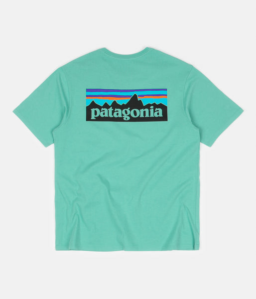 【保存版】 patagonia-p-6-logo-organic-t- 半袖Tシャツ